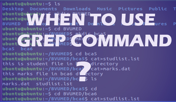 Grep command in Linux